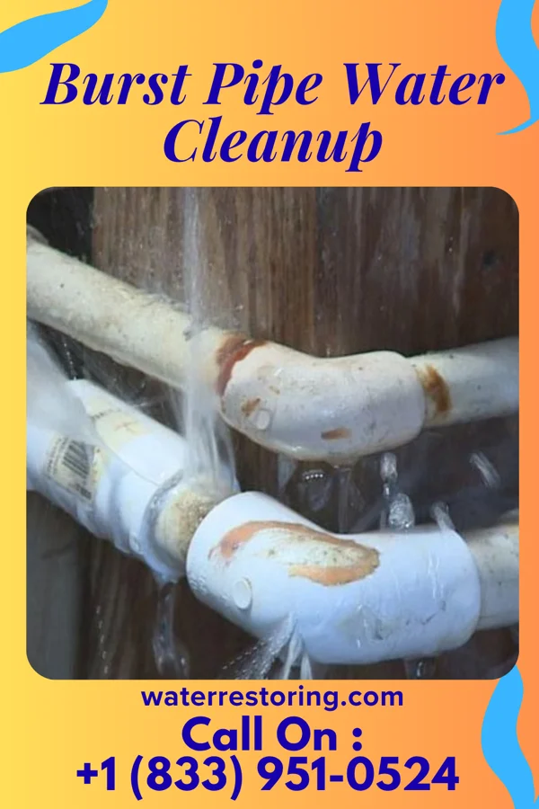 Burst Pipe Water Cleanup in College Corner, OH