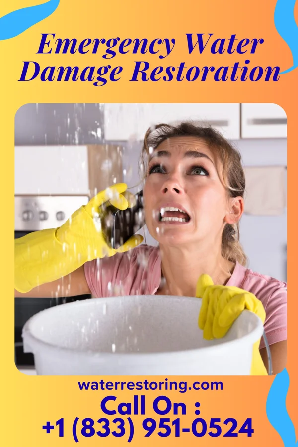 Emergency Water Damage Restoration in College Corner, OH