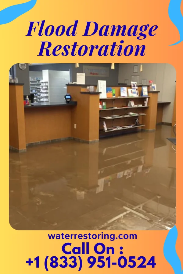 Flood Damage Restoration in College Corner, OH