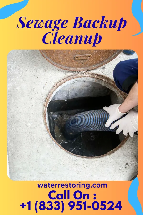 Sewage Backup Cleanup in College Corner, OH